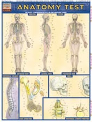 cover image of Anatomy Test